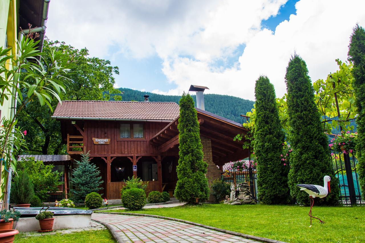 Pensiunea George Gura Râului Exterior photo
